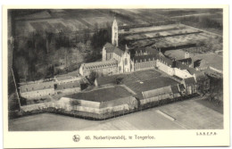 Tongerloo - Norbertijnerabdij - Westerlo