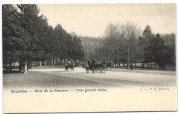 Bruxelles - Bois De La Cambre - Un Grande Allée - Elsene - Ixelles