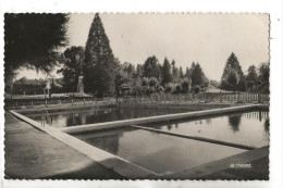 Chalus (87) : La Piscine Du Parc Des Sports En 1950 PF - Chalus