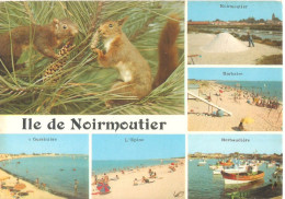 CPM 85 NOIRMOUTIER  VUES ECUREUIL GUERINIERE SEL MARAIS SALANTS EPINE HERBAUDIERE BARBATRE - Noirmoutier