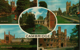 CAMBRIDGE - Cambridge
