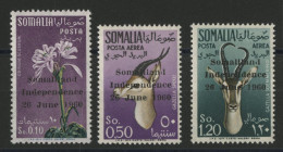 SOMALIA N° 1 + Poste Aérienne N° 1 + 2 Cote 105 € Neufs Sans Charnière ** (MNH) Voir Description - Somalie (1960-...)
