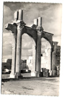 Tébessa (Constantine) - Vue Des Ruines Romaines De La Basilique La Chapelle - Tebessa