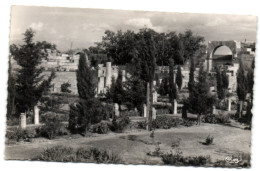 Tébessa - Vue Des Ruines Romaines De La Basilique - Tébessa