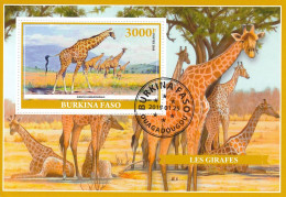 BURKINA FASO Giraffes 1,used - Girafes