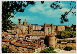 URBINO     PANORAMA      (VIAGGIATA) - Urbino