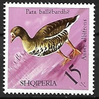 Albania - MNH ** 1975 :   Greater White-fronted Goose  -   Anser Albifrons - Gänsevögel