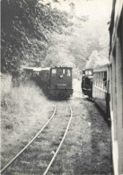 TRANSPORT - Chemin De Fer Touristique De Belgique - Carte Postale Ancienne - Tramways