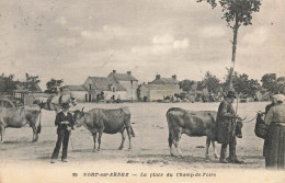 Nort Sur Erdre * La Place Du Champ De Foire * Marché Aux Bestiaux * Villageois - Nort Sur Erdre