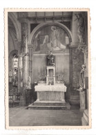 Lot De 3 Cartes Postales Liernu Ste Brigide - Intérieur De L'Eglise - Le Vieux Chêne - Eghezee
