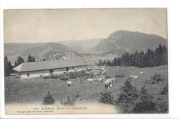 31573 - L'Abbaye Chalet De L'Hermitage Cachet Le Séchey 1921 - L'Abbaye