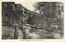 BELGIQUE - Vielsalm - Vallée De La Salm - Les Rochers Du Hourt  - Carte Postale Ancienne - Vielsalm