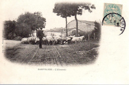 DAMVILLERS  -  L' Abreuvoir  -  Troupeau De Moutons Et Son Berger  -  Dos Non Divisé. - Damvillers