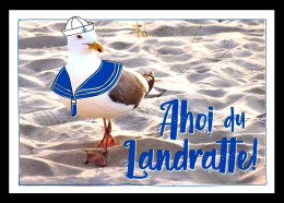 Bund / Germany: Ansichtskarte [AK] 'Möwe – Ahoi Du Landratte' / Postcard 'Gull – Ahoy Land Lubber' Gebraucht / Used - Ribnitz-Damgarten