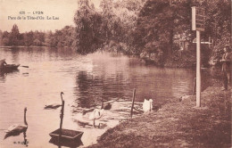 FRANCE - Lyon - Parc De La Tête D'Or - Le Lac - Carte Postale Ancienne - Lyon 6