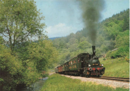 TRANSPORT - Kuckucksbähnel - Colorisé - Carte Postale - Eisenbahnen