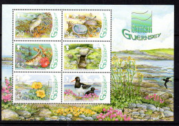 Guernsey 2006 L'Eree Wetland Ramsar Site MS, MNH, SG 1129 - Guernesey