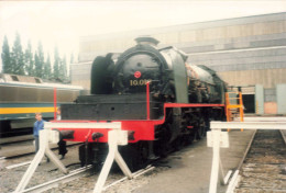 TRANSPORT - Tête De Locomotive - Colorisé - Carte Postale - Eisenbahnen