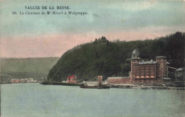 BELGIQUE - Vallée De La Meuse - Le Château De Mr Bivort à Walgrappe - Colorisé - Carte Postale Ancienne - Dinant