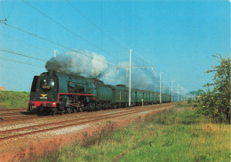 TRANSPORT - Locomotive Pacific 231 SNCB Type 1 - Colorisé - Carte Postale - Eisenbahnen
