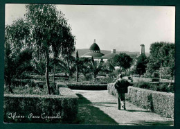 BA010 - IGLESIAS - PARCO COMUNALE ANIMATA 1959 - PICCOLISSIMO STRAPPO IN BASSO IN MEZZERIA - Iglesias