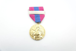 Militaria - MEDAL : Defense Nationale Armee Nation Classe Or - Gold Plated - France - Sonstige & Ohne Zuordnung