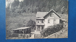 Ste Marie Aux Mines , Markirch Maison Forestière Pflanzschule - Sainte-Marie-aux-Mines