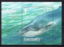 Guernsey 2011 Endangered Species VII, Blue Whale MS, MNH, SG 1368 - Guernesey