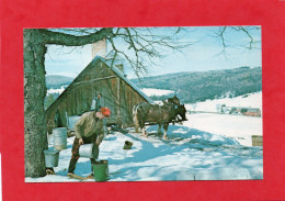 VERMONT, VT - THE MAPLE SUGAR TIME - SUGARING IN VERMONT Sous La Neige -CPM  Impeccable - Other & Unclassified
