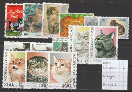 (TJ) Katten - Europa-1 - 14 Zegels (gest./obl./used) - Chats Domestiques