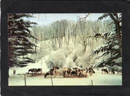 VERMONT, VT - THE MAPLE SUGAR TIME - SUGARING IN VERMONT VACHES Sous La Neige -CPM  Impeccable - Other & Unclassified