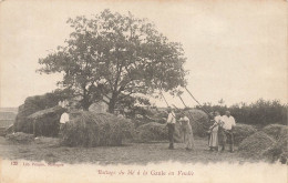 Vendée * Le Battage Du Blé à La Gaule En Vendée * Scène Agricole Agriculture Foins Métier - Autres & Non Classés