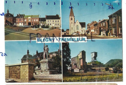 Blégny-Trembleur (B-4570). Carte Mosaïque - Blegny