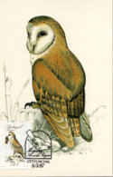 MADEIRA, MC, Owl   /   MADÈRE, Carte Maximume, Hibou, 1987 - Hiboux & Chouettes