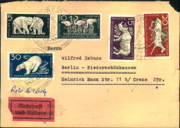 1956, Tierparksatz Auf Rohrpost-Ortsbrief Nach Niederschönhausen (Panlow) - Other & Unclassified