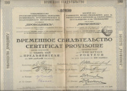 ACTION RUSSE - SOCIETE FABRIQUE RUSSO -FRANCAISE POUR LA PRODUCTION D'ARTICLES EN CAOUTCHOUC- CERTIFICAT PROVISOIRE 1918 - Altri & Non Classificati