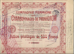 COMPAGNIE FERMIERE  DES CHARBONNAGES DE PROKHOROW -ACTION DE 500 FRS -1911 - Mijnen