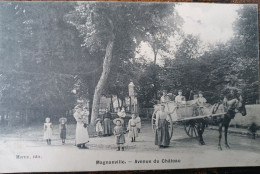 MAGNANVILLE AVENUE DU CHÂTEAU ATTELAGE - Magnanville