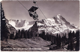 Grinderwald - First-Bahn Mit Eiger Und Fiescherwand - Wald