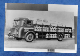 Photo ( Repro ) Maquette Camion Poids Lourds Marque à Identifier Transports BUTAGAZ PROPAGAZ Chauny Aisne - Automobili