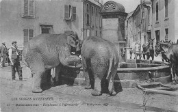 Remiremont           88          Eléphants A L'abreuvoir                 (voir Scan) - Remiremont