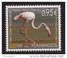 Montenegro 2015 Fauna, Flamingo, PHOENICOPTERUS ROSEUS, Birds MNH - Flamingo