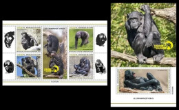 Guinea  2023 Western Chimpanzee. (226) OFFICIAL ISSUE - Schimpansen