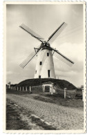 De Molen Van Damme - Damme