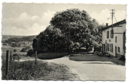 Torgny - Maison Frontière - Rouvroy