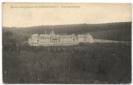 Sanatorium Populaire De Borgoumont - Vue Panoramique - Stoumont