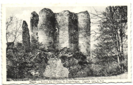 Theux - Ruines Du Château De Franchimont - Façade Vers Le Sud - Theux