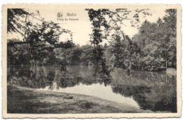 Wellin - Etang Du Neupont - Wellin