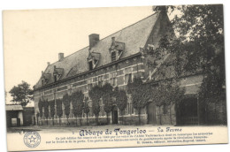 Abbaye De Tongerloo - La Ferme - Westerlo