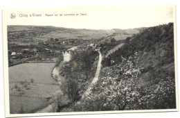 Olloy-sur-Viroin - Regard Sur Les Pommiers En Fleurs - Viroinval